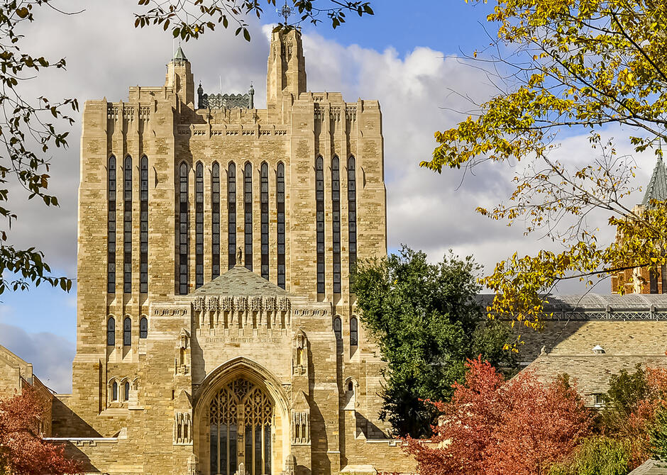 Tour of Sterling Memorial Library for Families Yale College Family