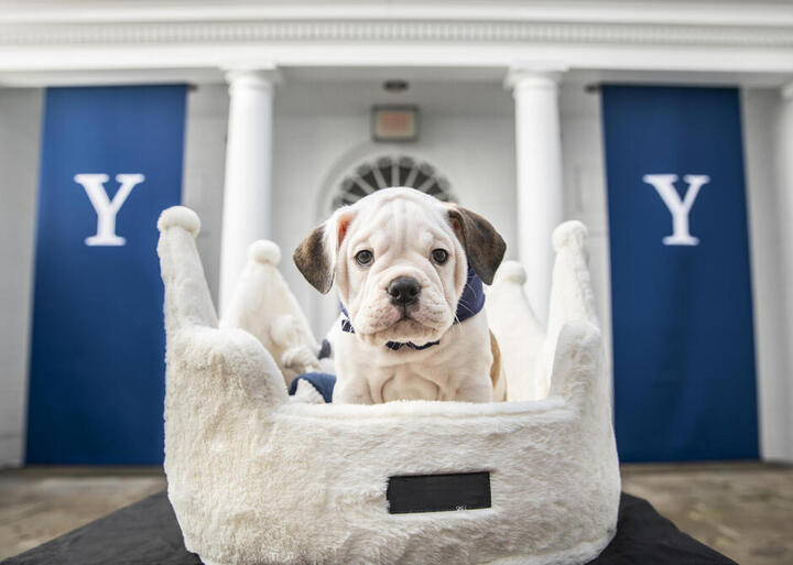 Yale College Family Weekend 2025